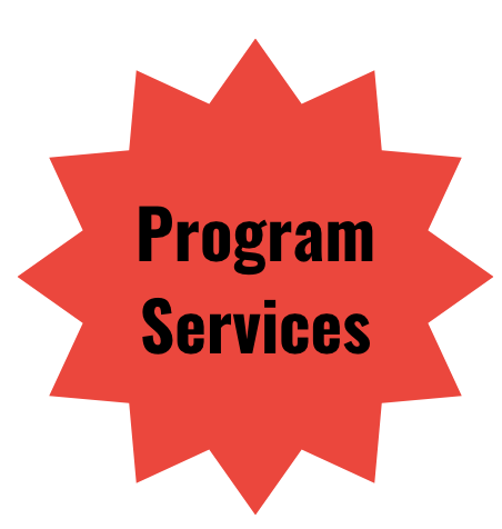 Program Services